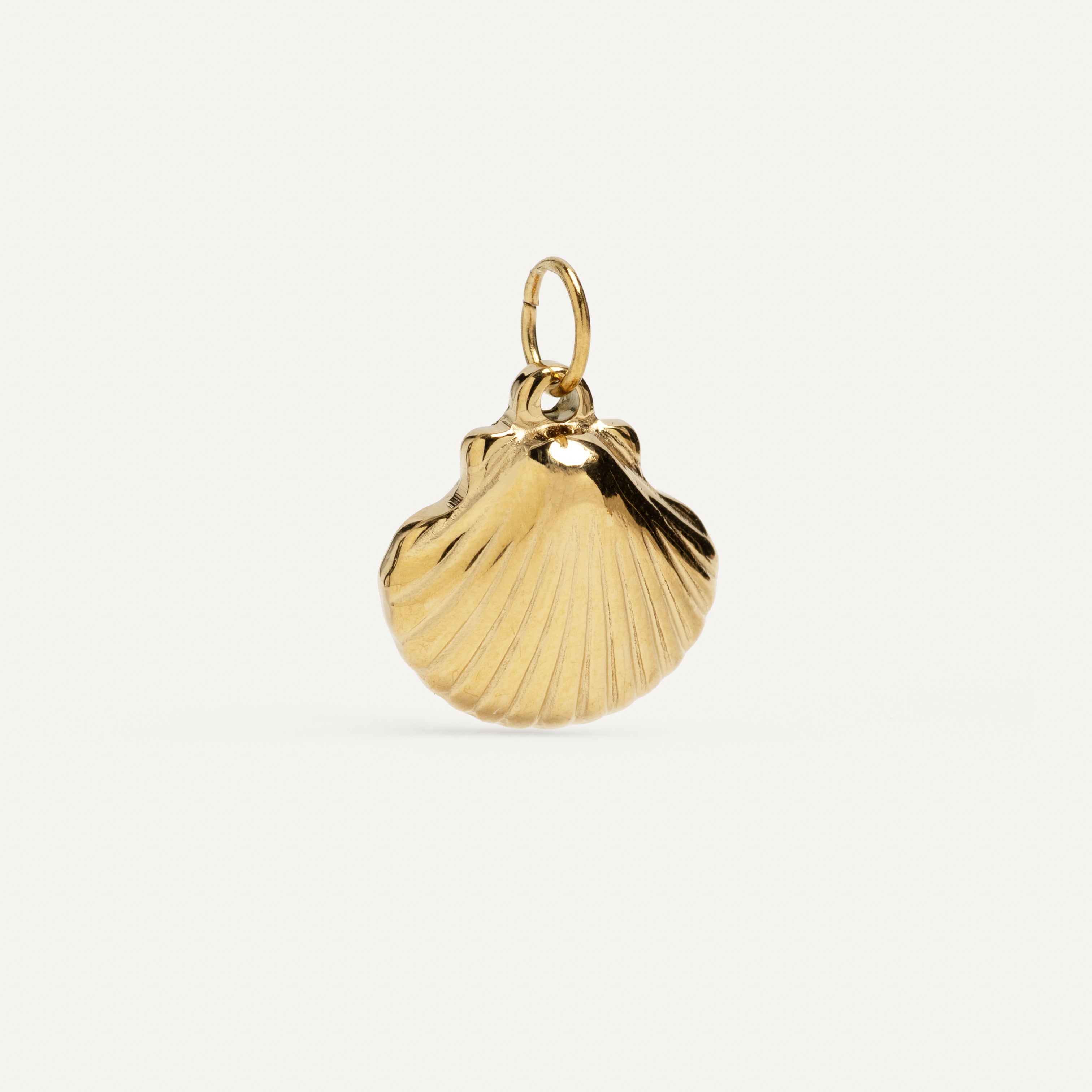 CHARM CONCHA