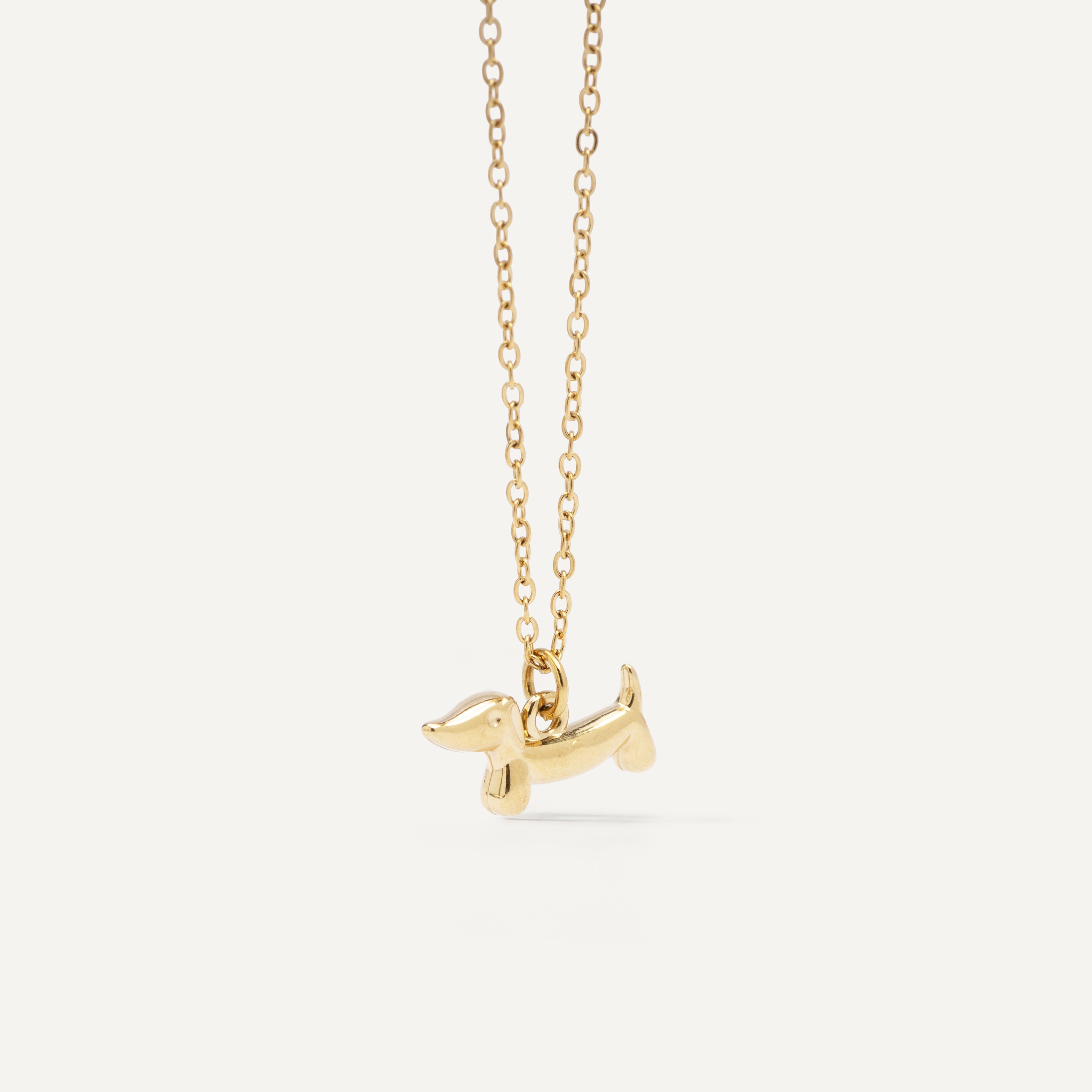 COLLAR TECKEL