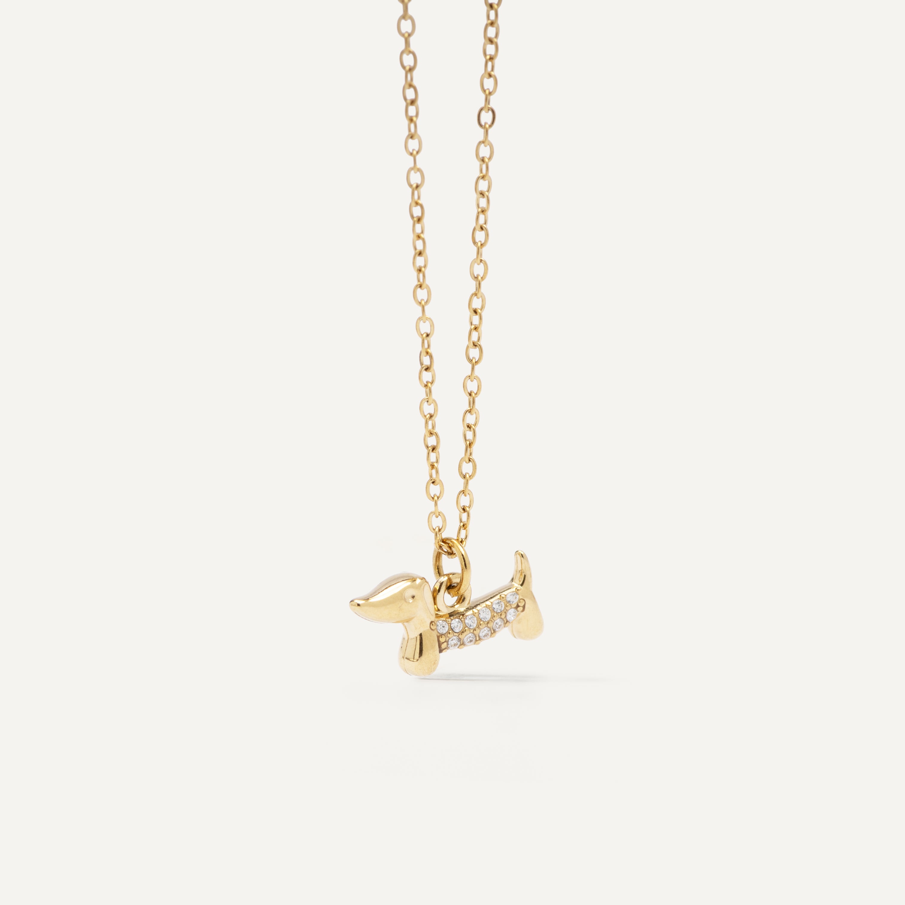 COLLAR TECKEL CIRCONITAS
